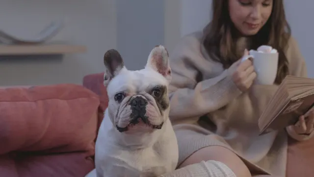 A dog owner reading the ingredient panel on the back of a supplement bottle