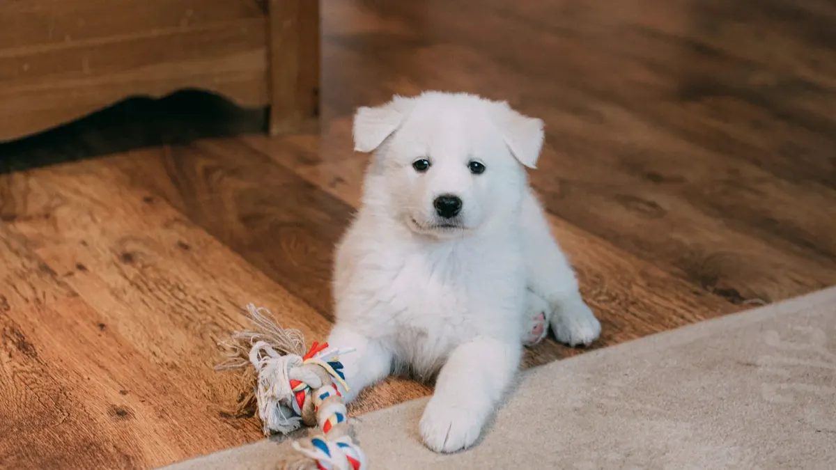 A dog working a puzzle feeder toy on a kitchen floor