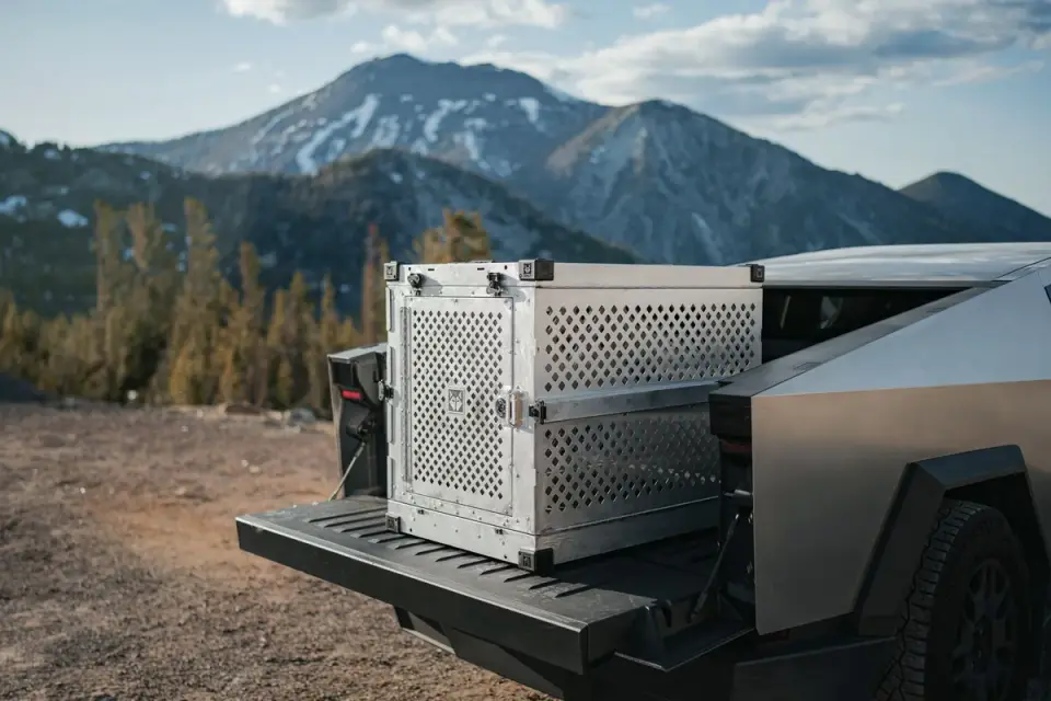 A large travel crate loaded into the cargo area of an SUV