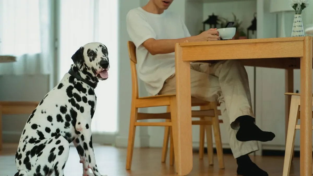 A pet owner reading the supplement facts panel on a dog vitamin bottle at a kitchen counter