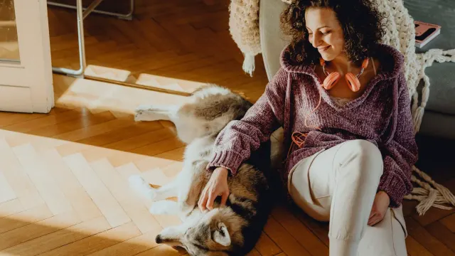 A senior dog resting on a living room floor with its hind legs tucked beneath it while an owner kneels nearby