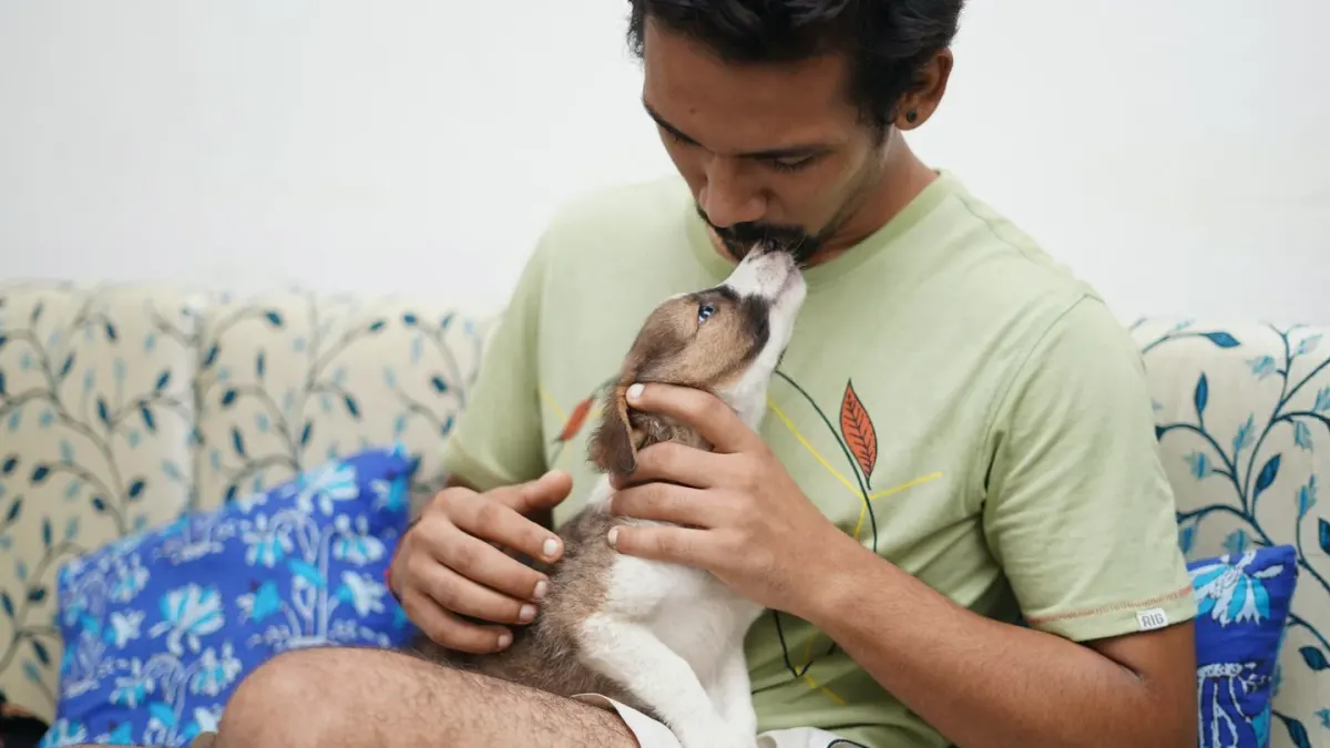 A small dog resting calmly against its owner's chest on a couch