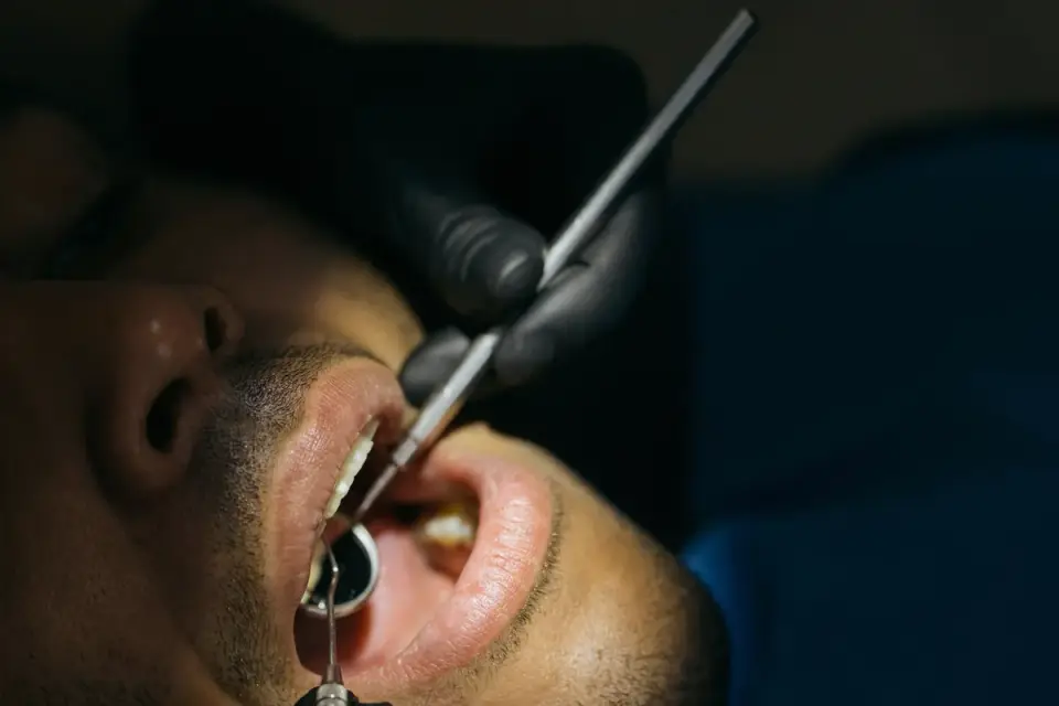 A veterinarian checking a dog's teeth during a routine exam