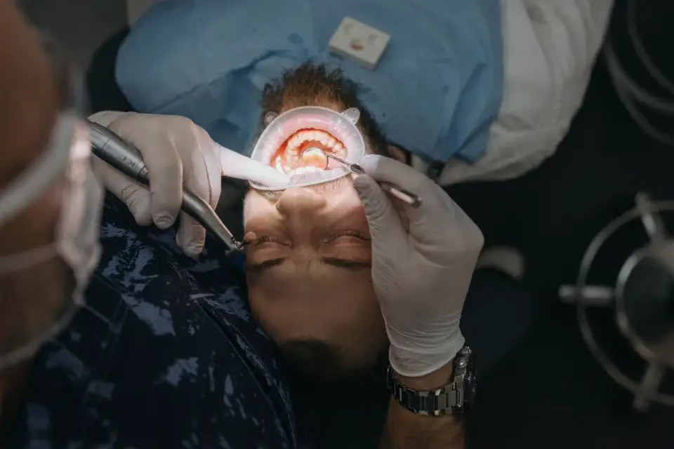 A veterinarian gently lifting a dog&#x27;s lip to check gum color