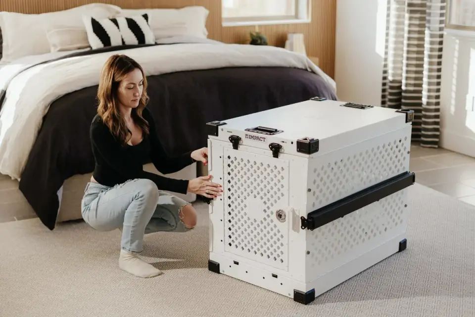A woman sits on the floor beside an open crate reassuring a puppy