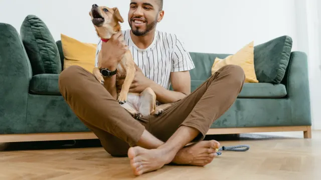 A young puppy mouthing an owner's hand during a calm play session
