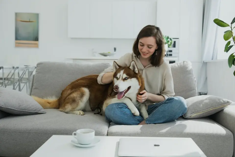 Dog at home near a kitchen