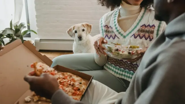 Dog eating from a bowl at home