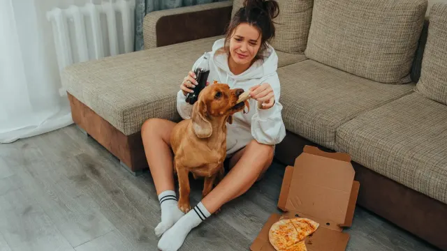 Dog eating from a bowl