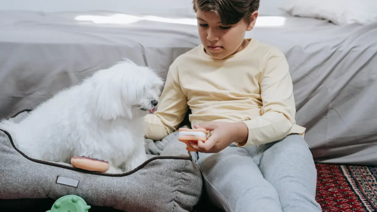 Dog eating from bowl at home