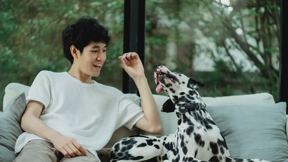 Dog eating from bowl at home