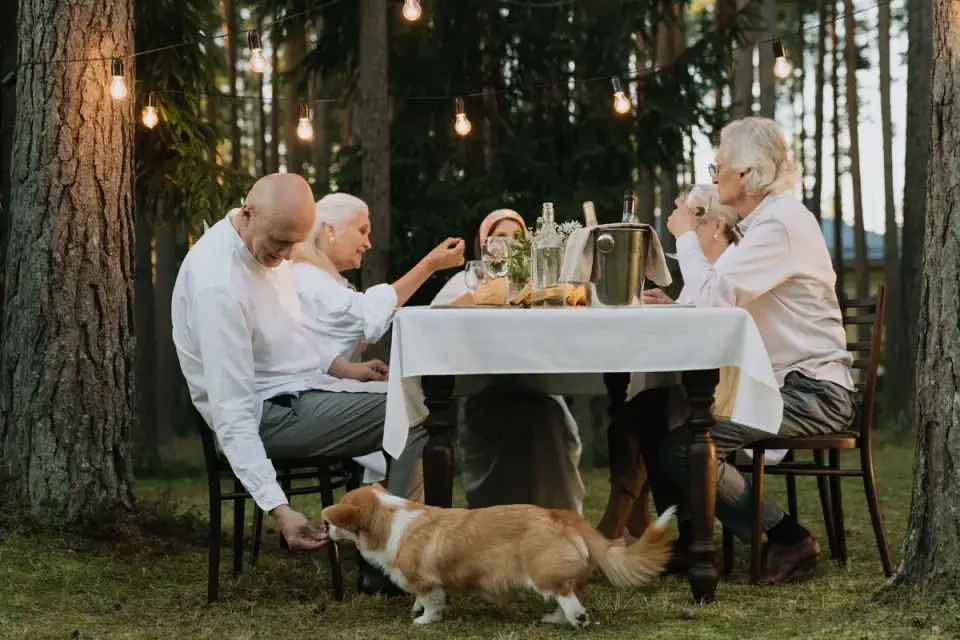 Dog eating outdoors bowl