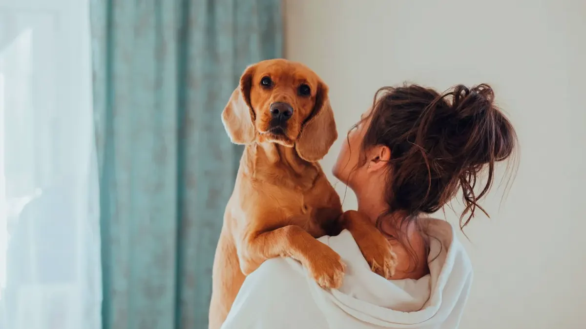 Dog greeting an owner