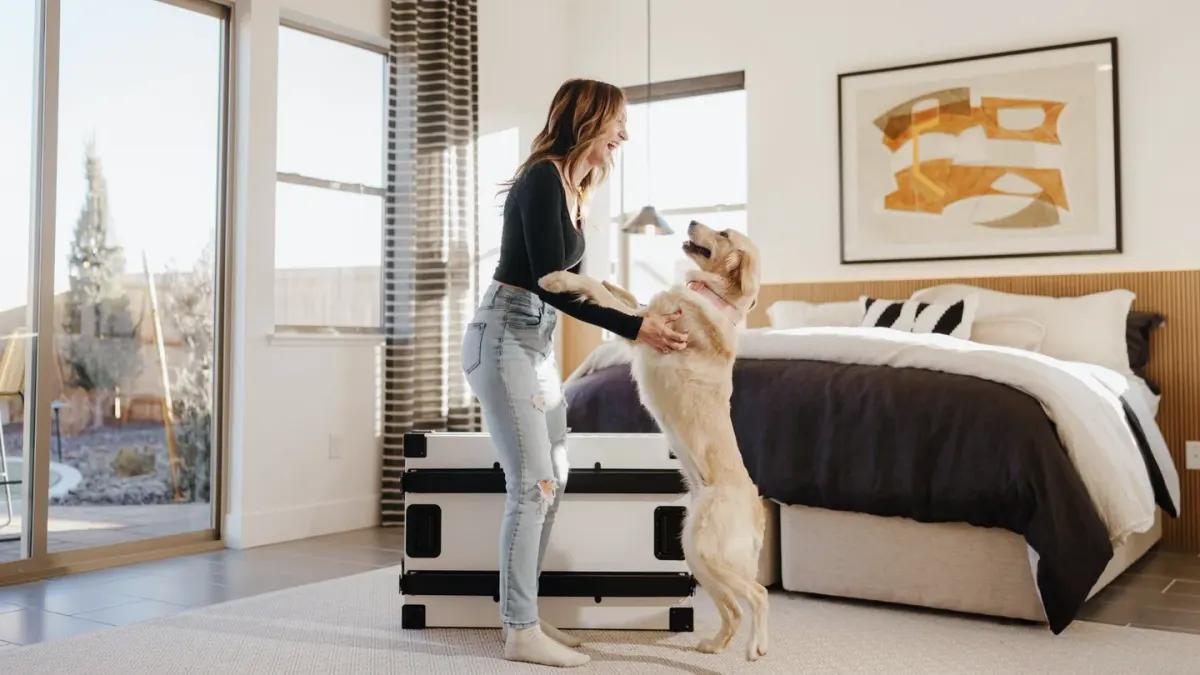 Dog greeting an owner