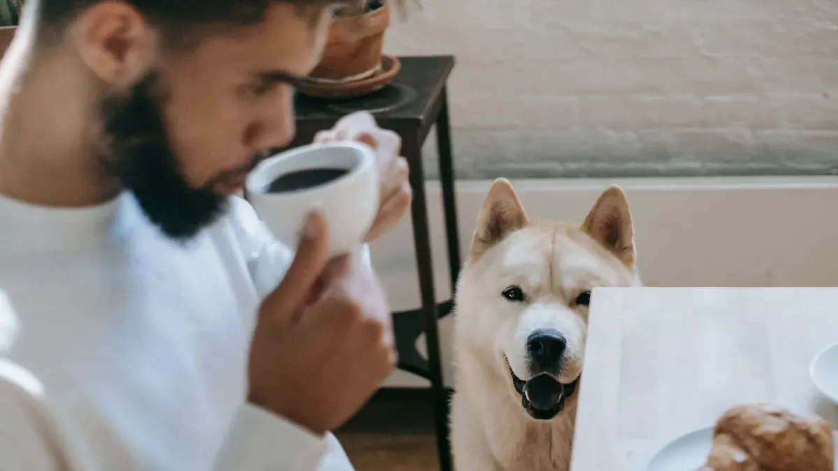 Dog in a kitchen with an owner