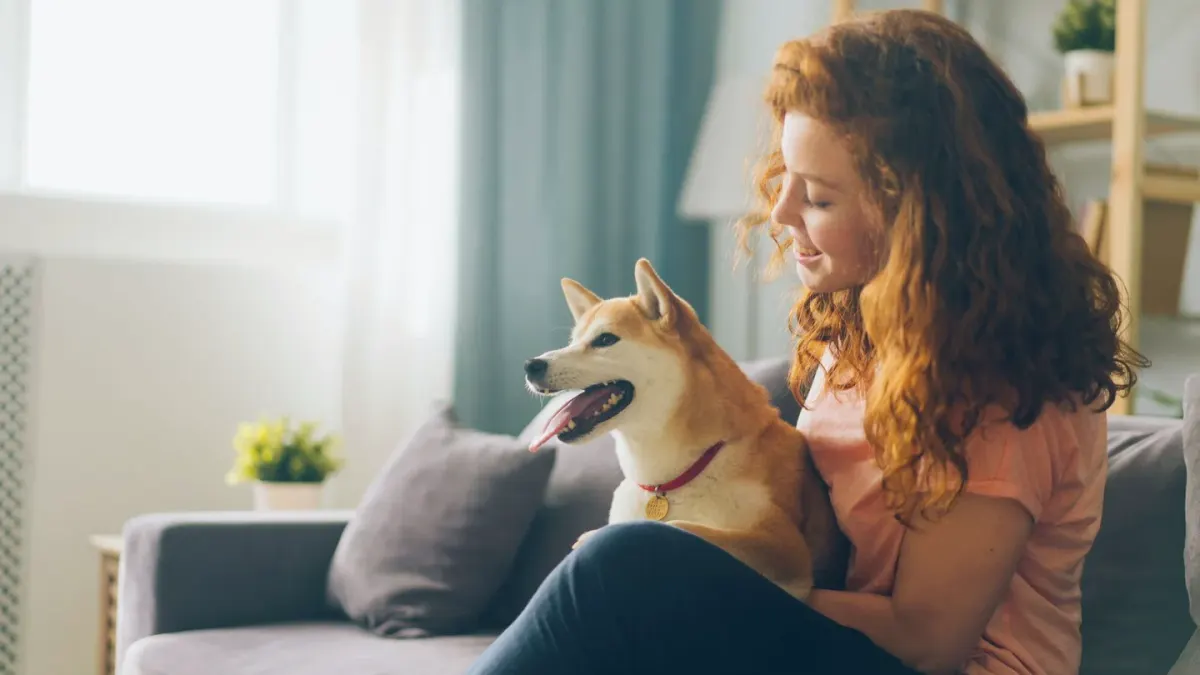 Dog in kitchen with owner