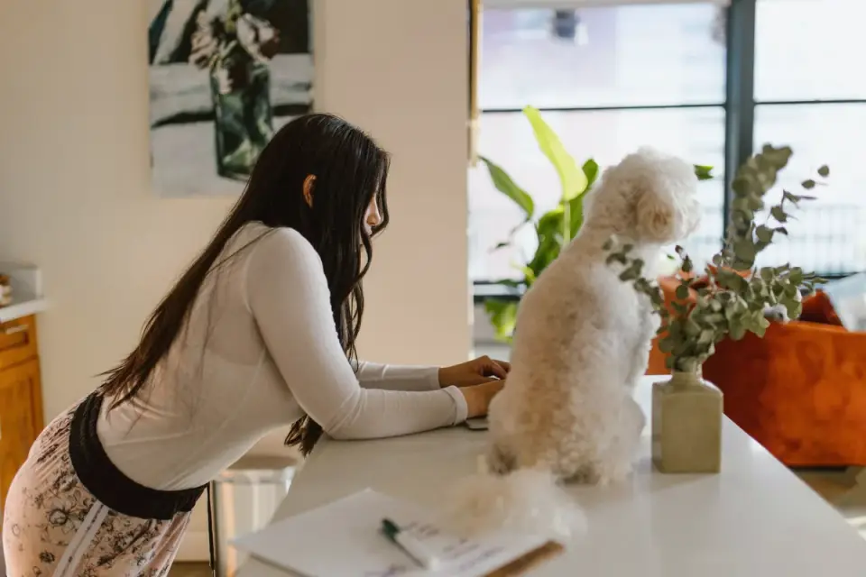 Dog in kitchen with owner