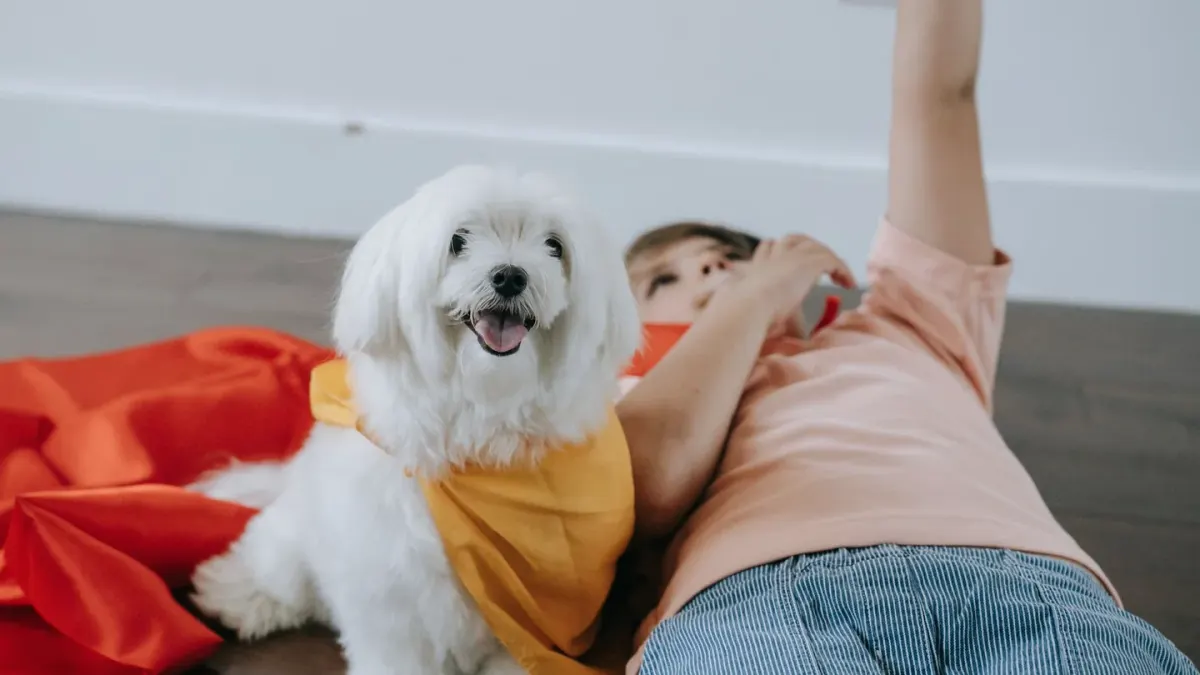 Dog lying on a floor