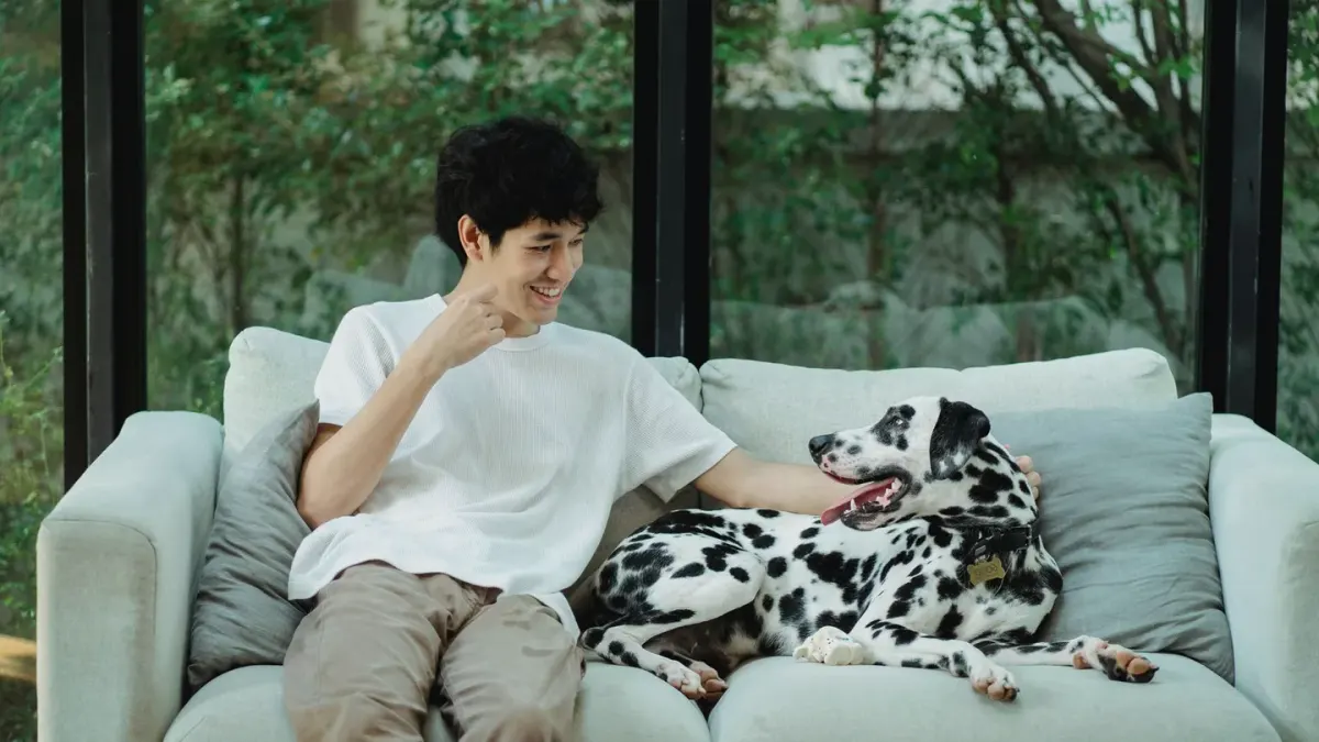 Dog owner at home
