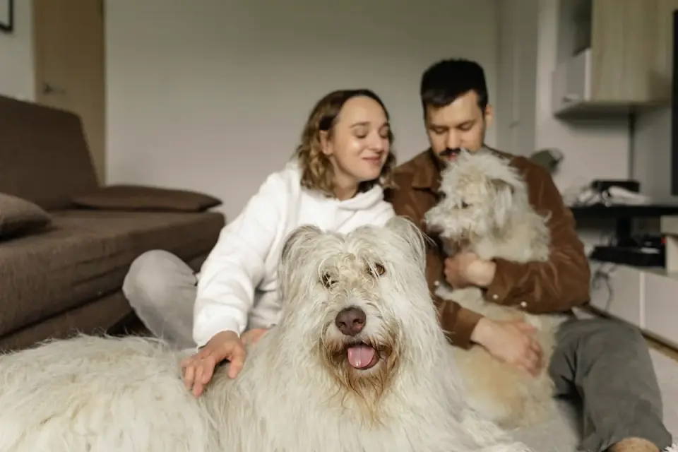 Dog owner at home