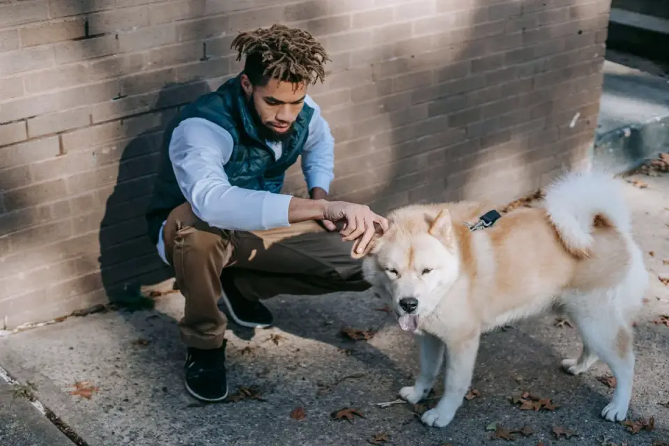 Dog owner comforting dog home
