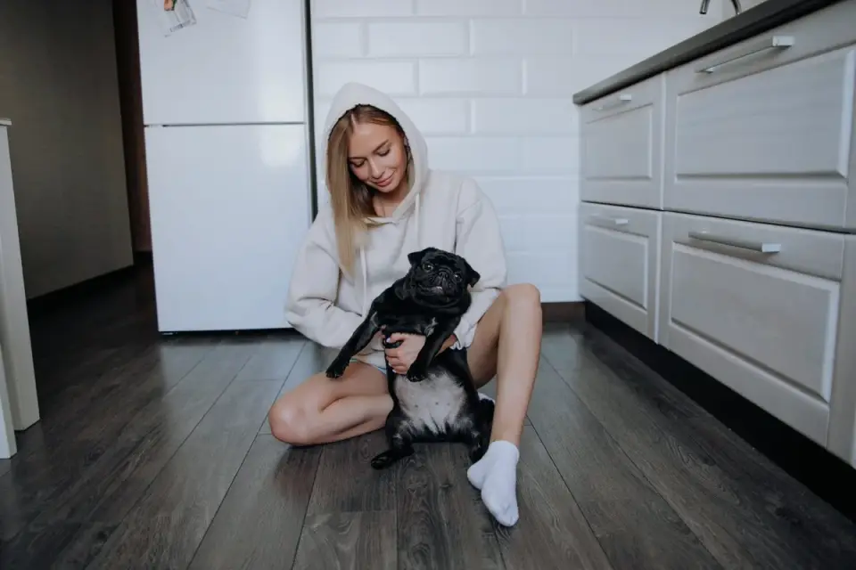 Dog owner preparing a meal