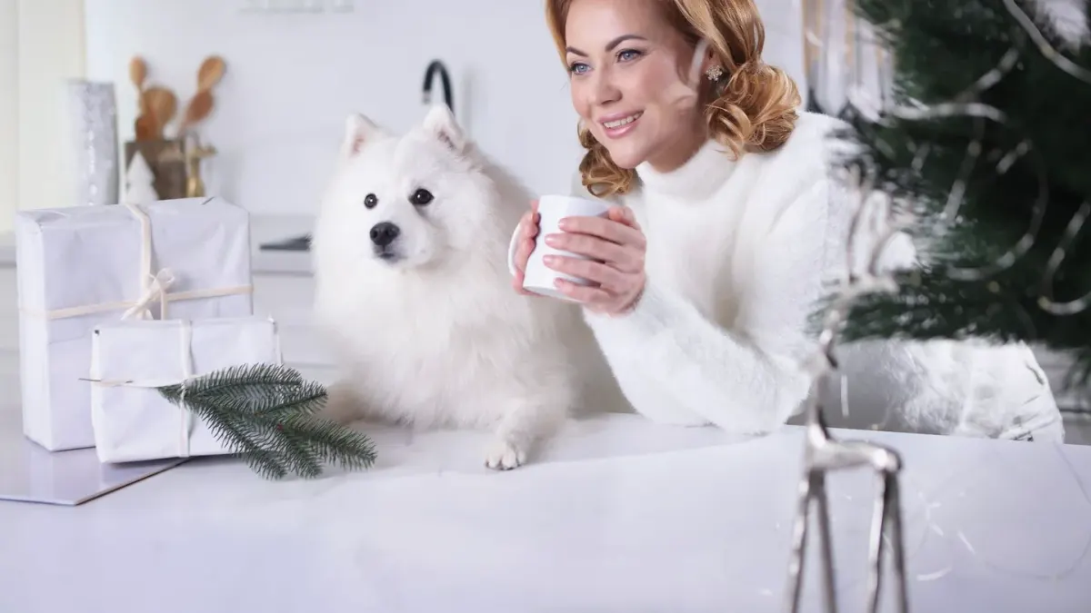 Dog owner preparing a meal
