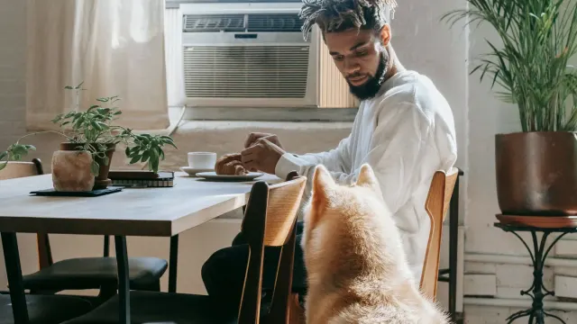 Dog owner preparing a meal