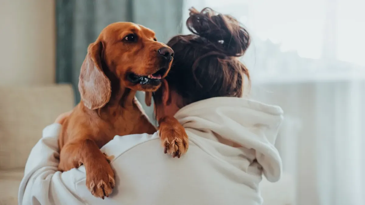 Dog resting beside an owner