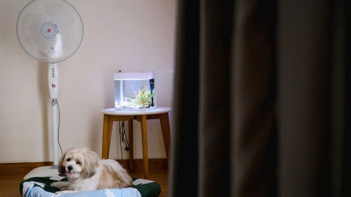 Dog resting in a bed