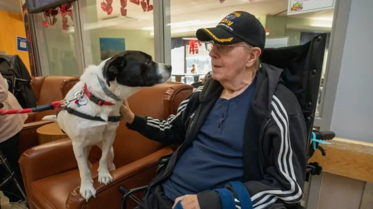 Dog sitting beside an owner