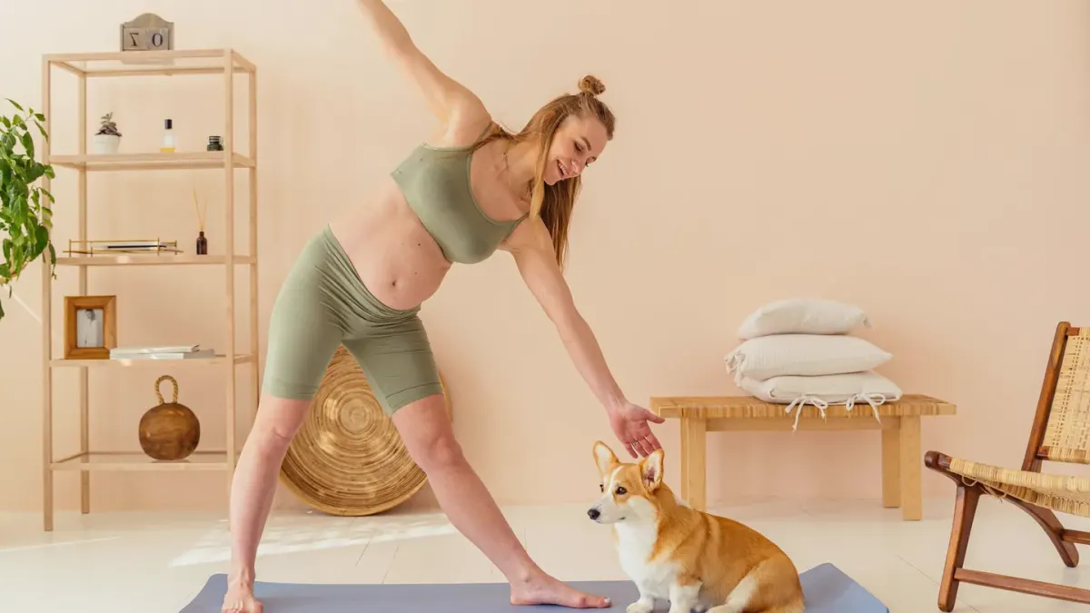 Dog stretching indoors