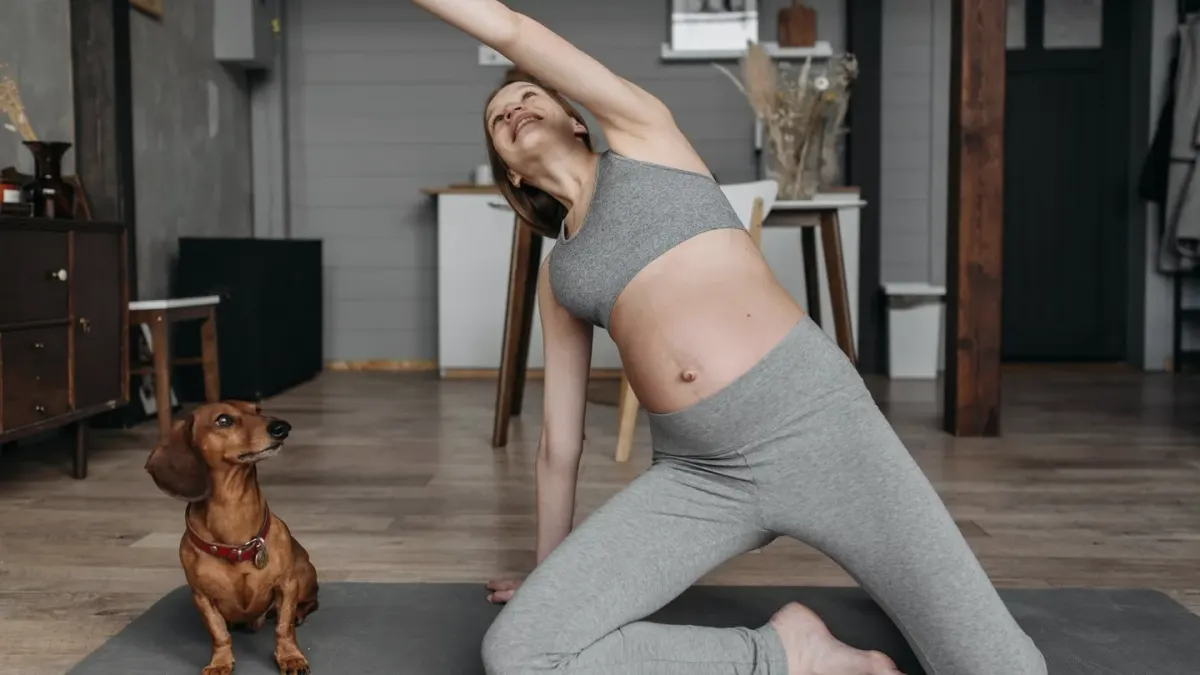 Dog stretching indoors