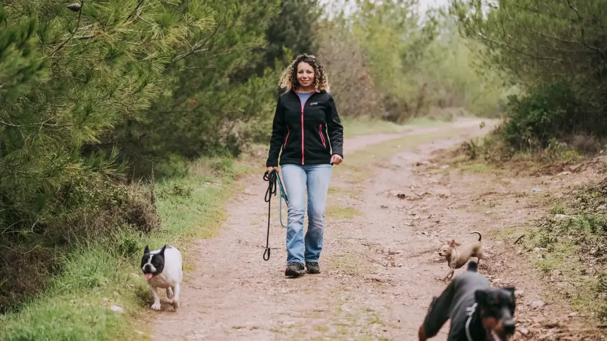 Dog walking outdoors