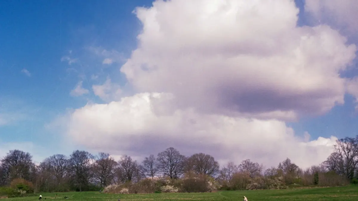 Dog walking outdoors