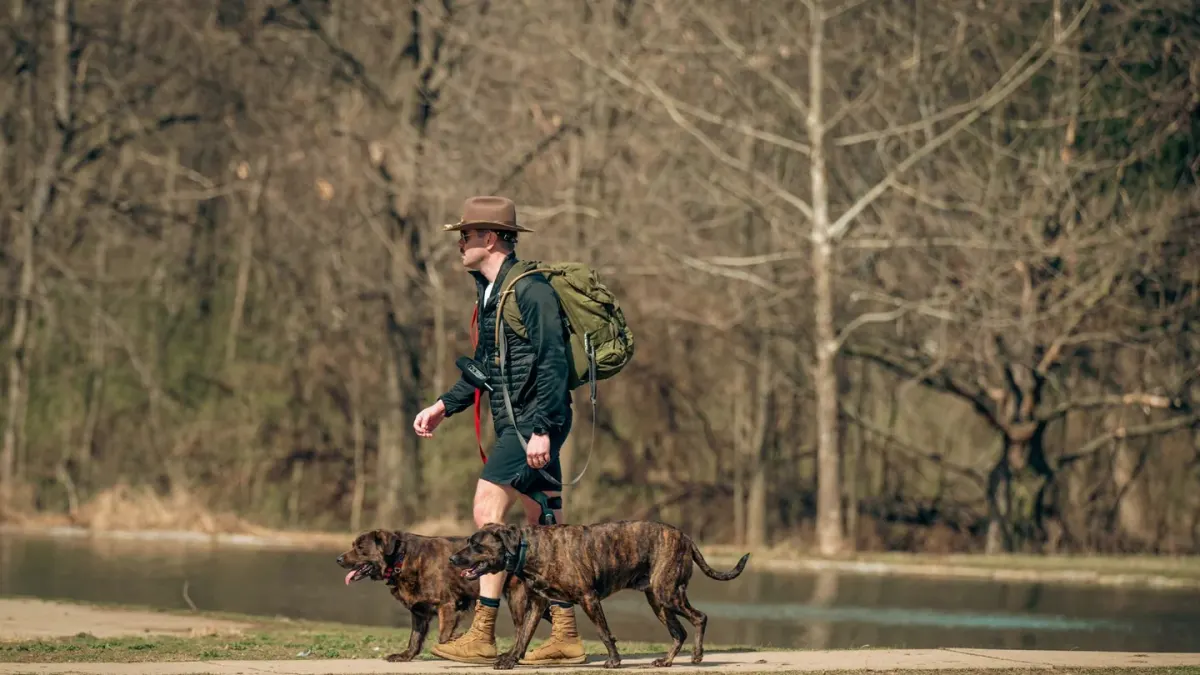 Dog walking with an owner