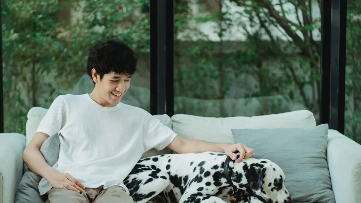 Dog with an owner at home