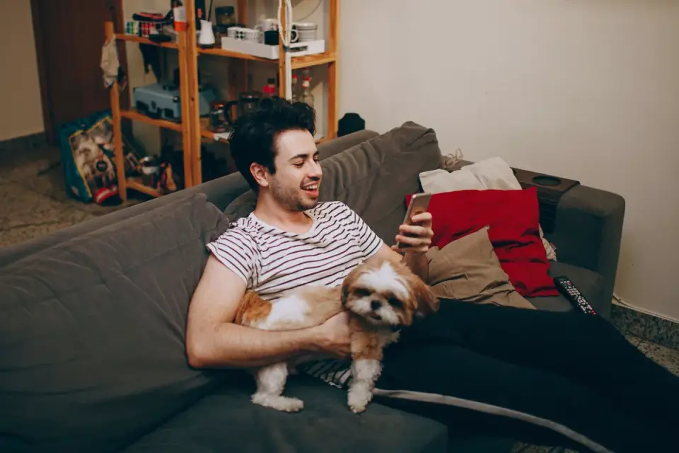 Dog with an owner at home