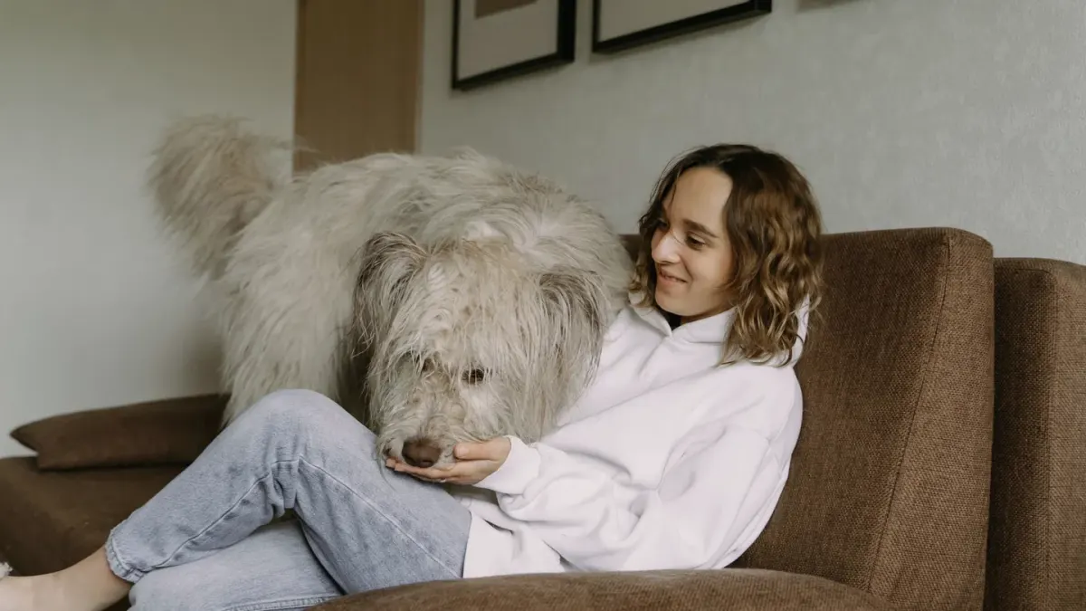 Dog with an owner at home