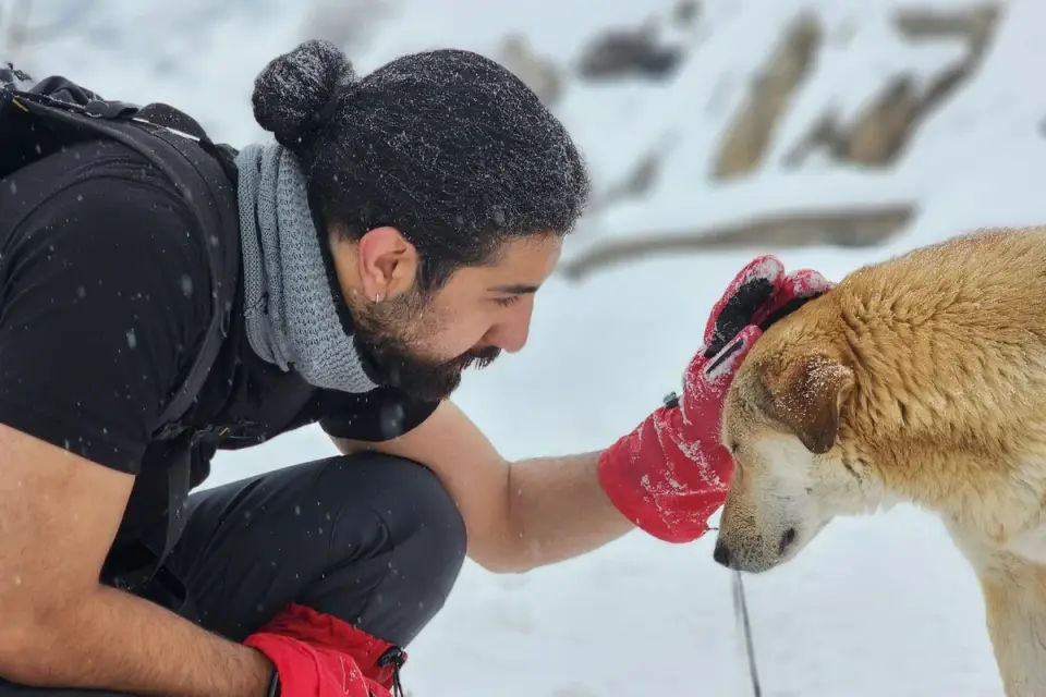 Dog with an owner at home
