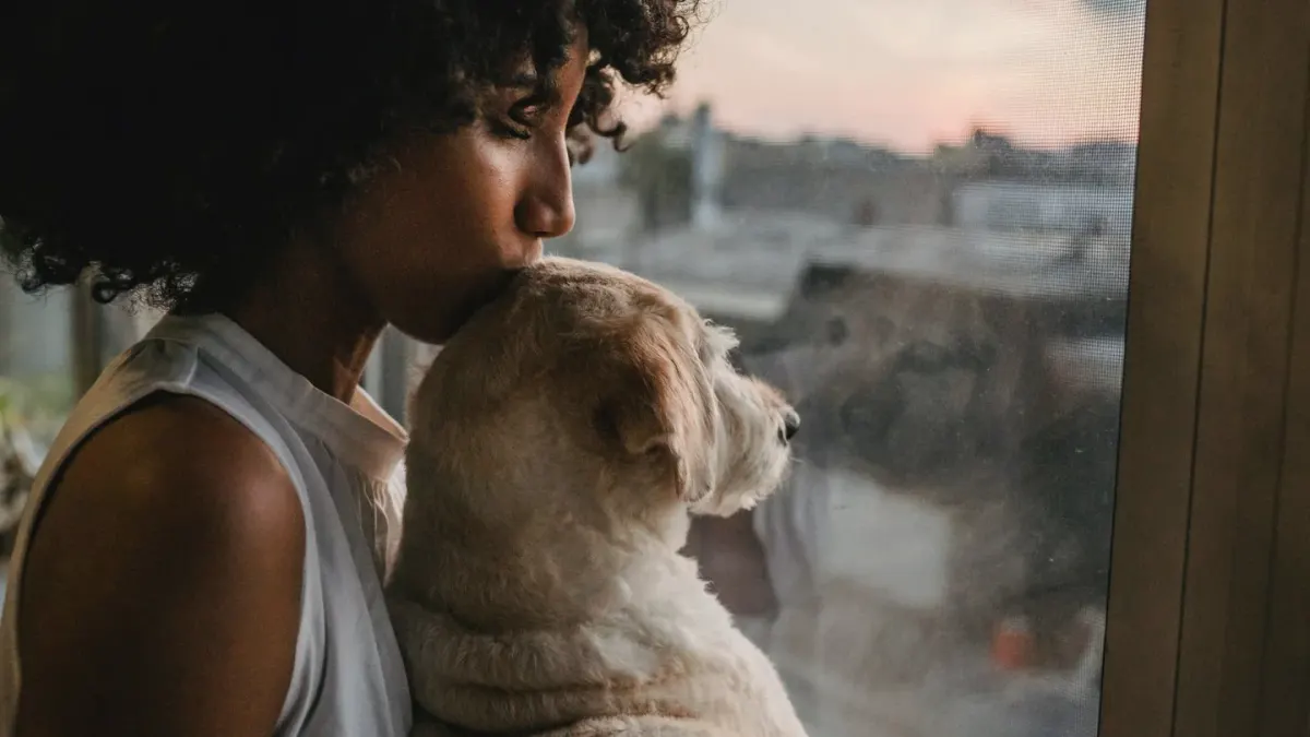 Dog with an owner at home
