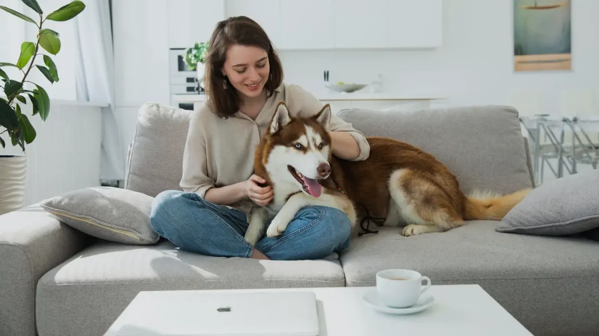 Dog with an owner at home