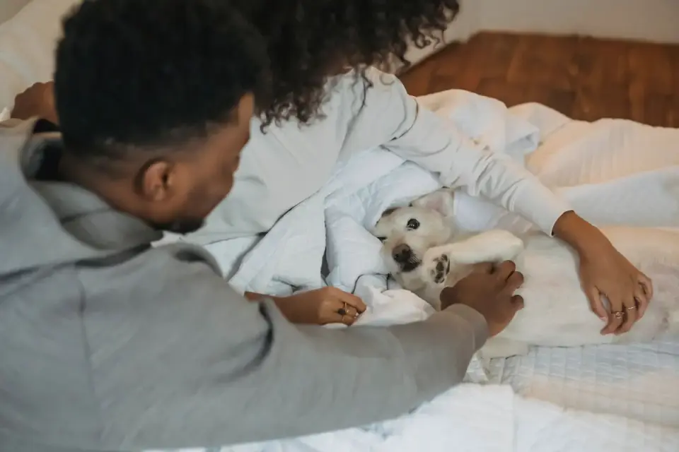 Dog with an owner at home