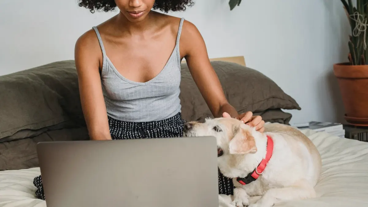 Dog with an owner at home