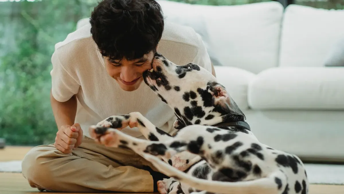 Dog with an owner at home