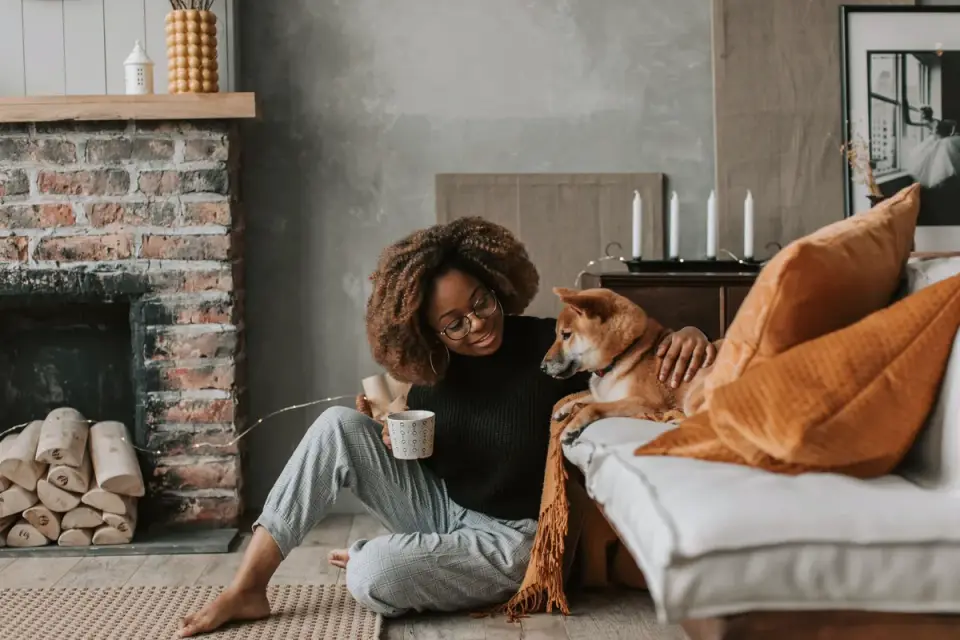Dog with an owner at home