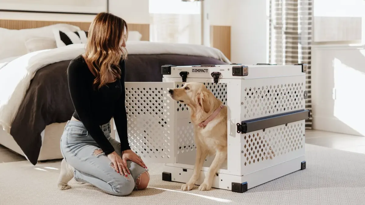 Dog with an owner at home