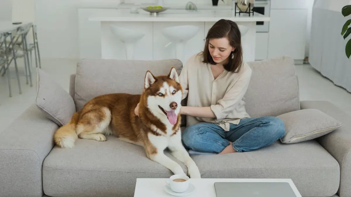 Dog with an owner at home