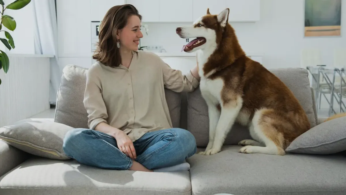 Dog with an owner at home