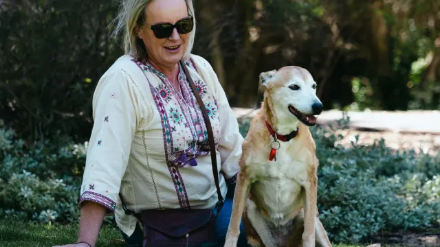 Older dog with an owner in a park